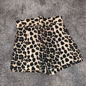 ZARA Cheetah Print High Rise shorts with belt